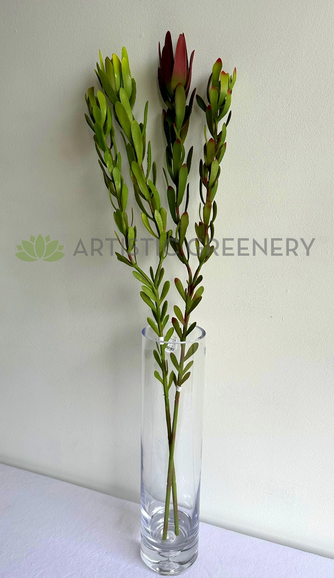 F0437 Leucadendron / Safari Sunset Double Stem 83cm 2 Colours