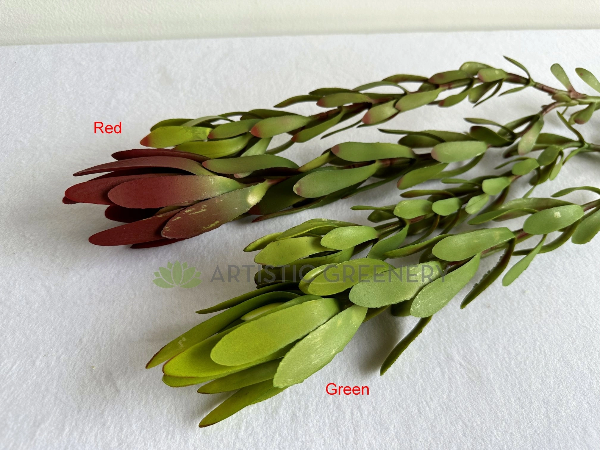 F0437 Leucadendron / Safari Sunset Double Stem 83cm 2 Colours