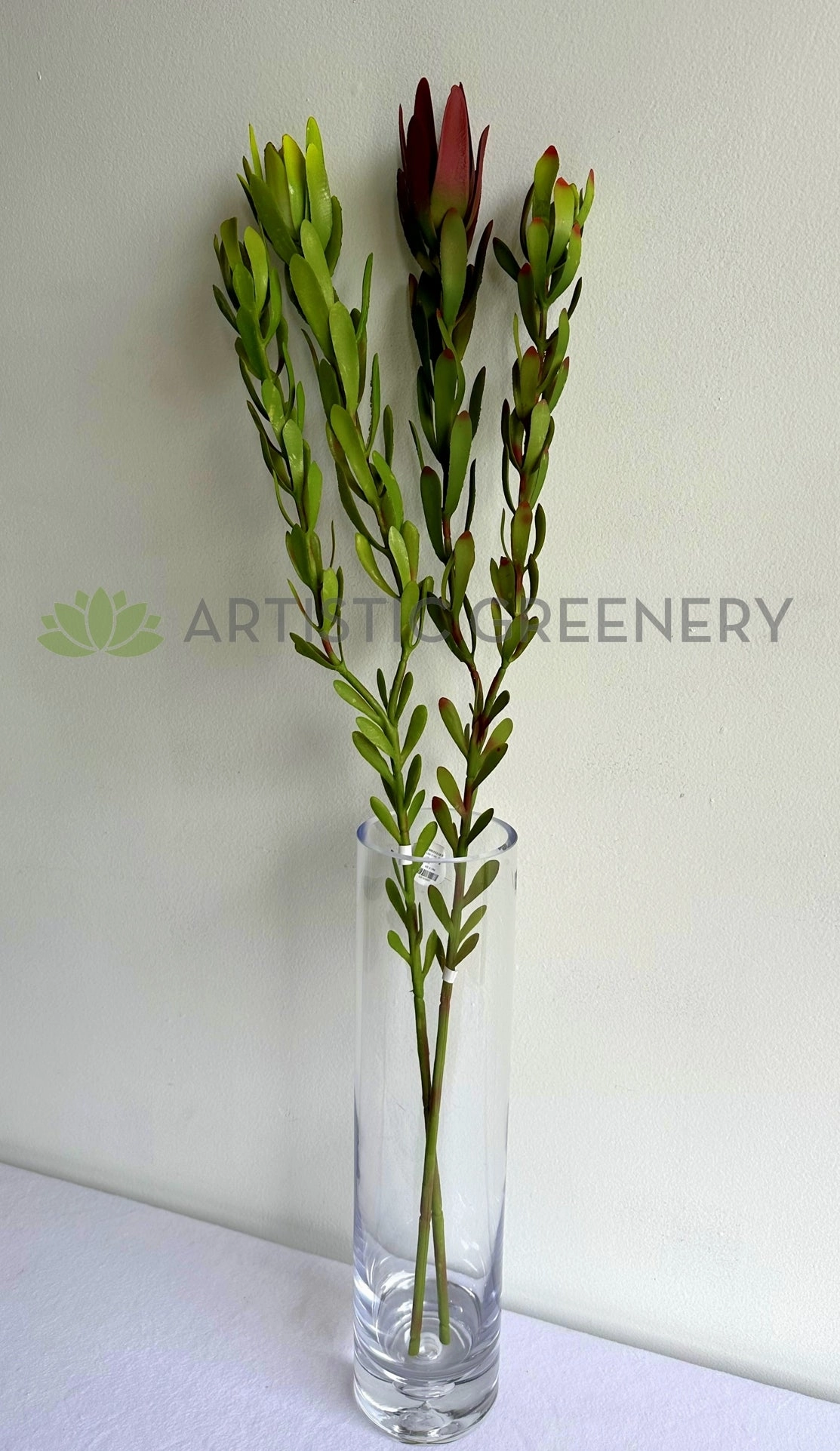 F0437 Leucadendron / Safari Sunset Double Stem 83cm 2 Colours