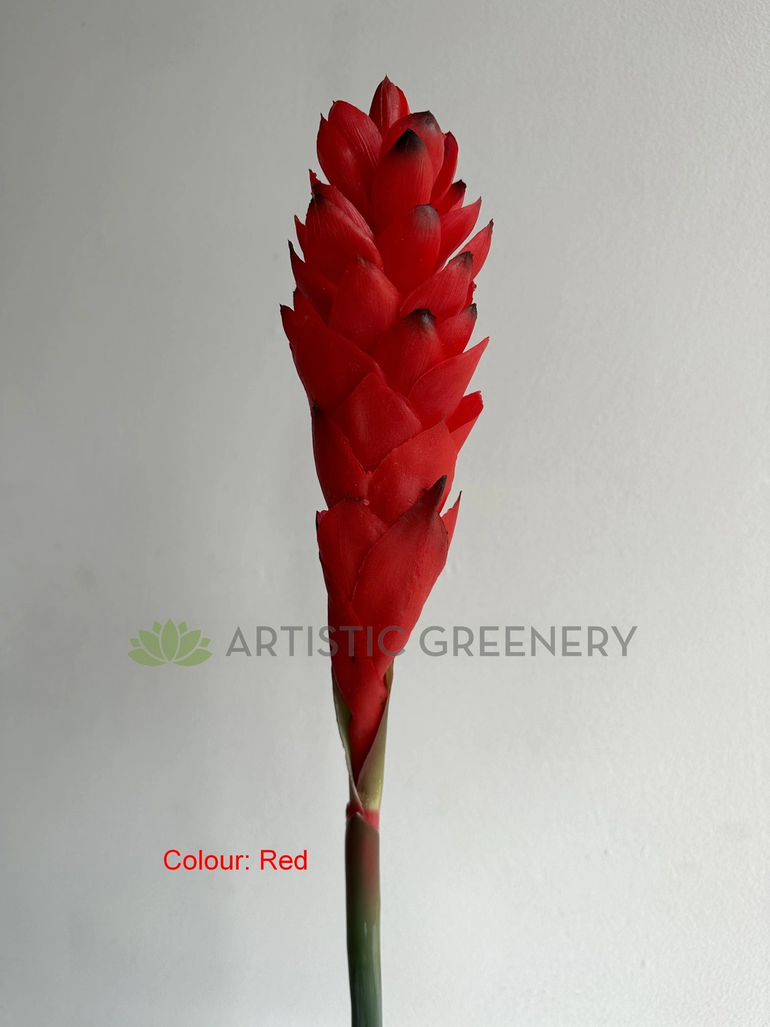 F0440 Aphelandra / Ginger Flower (Bromelia Flowers) 80cm Yellow / Red