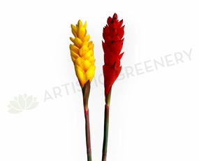 F0440 Aphelandra / Ginger Flower (Bromelia Flowers) 80cm Yellow / Red outdoor greenery  
