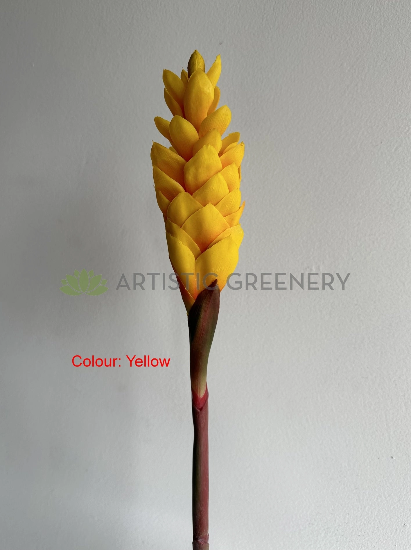 F0440 Aphelandra / Ginger Flower (Bromelia Flowers) 80cm Yellow / Red