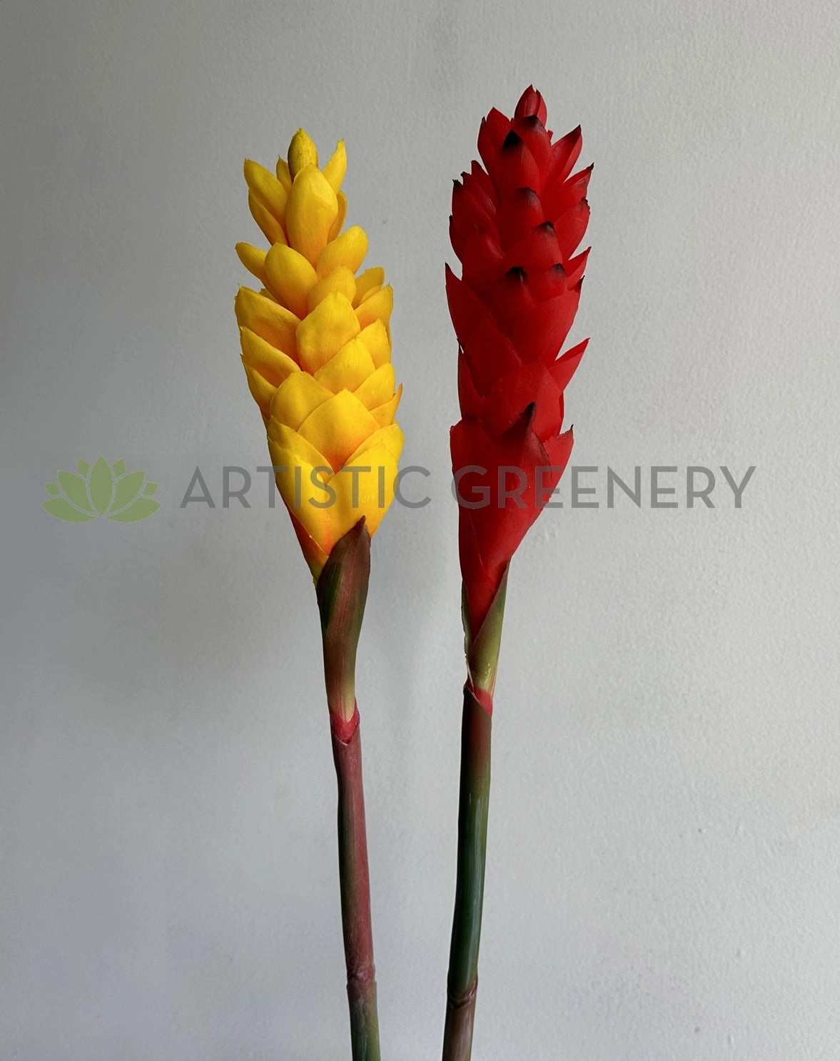 F0440 Aphelandra / Ginger Flower (Bromelia Flowers) 80cm Yellow / Red