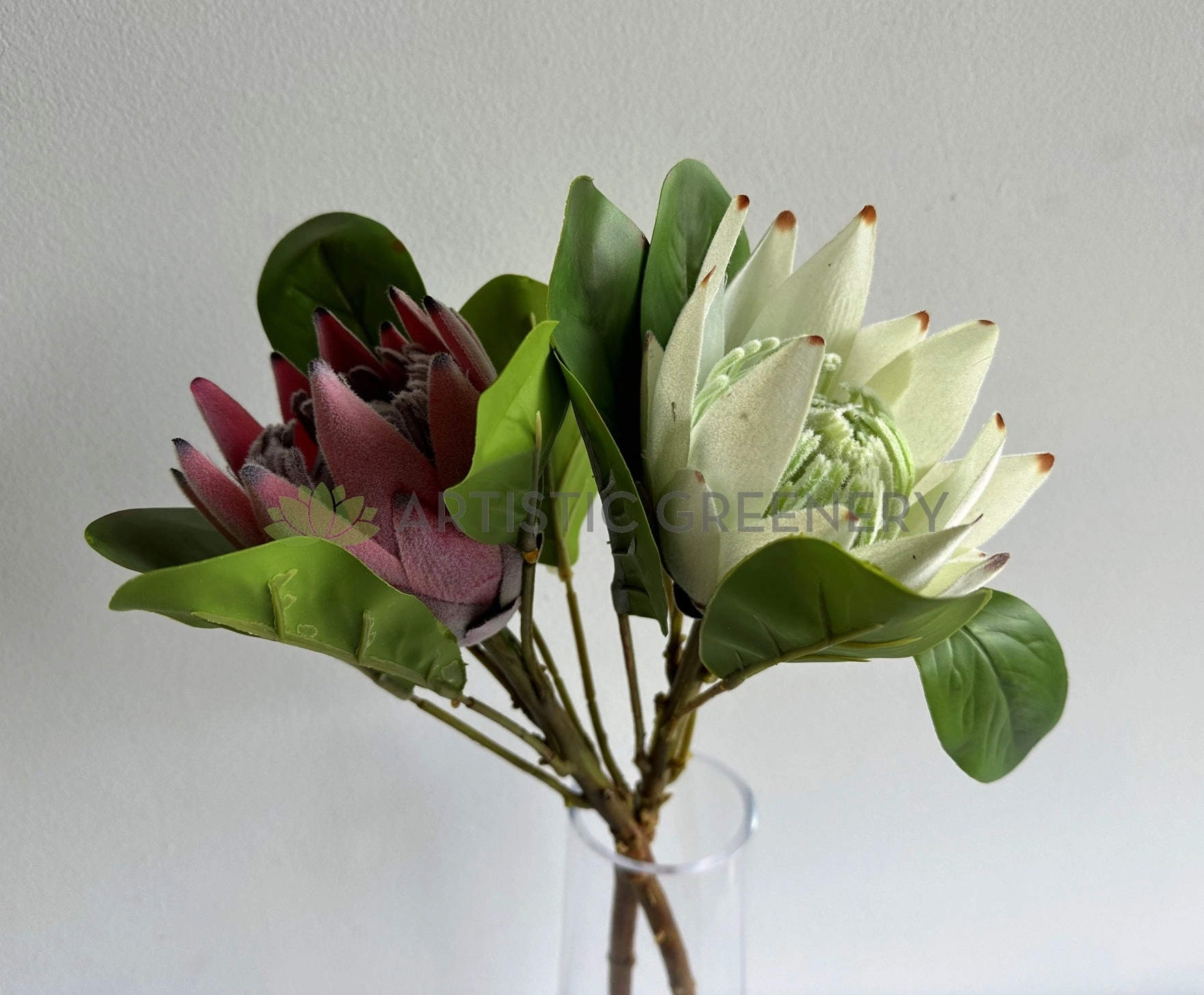 F0441 King Protea Single Stem 52cmcm Dusty Red / White