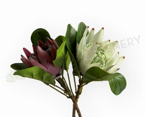 F0441 King Protea Single Stem 52cmcm Dusty Red / White outdoor greenery  