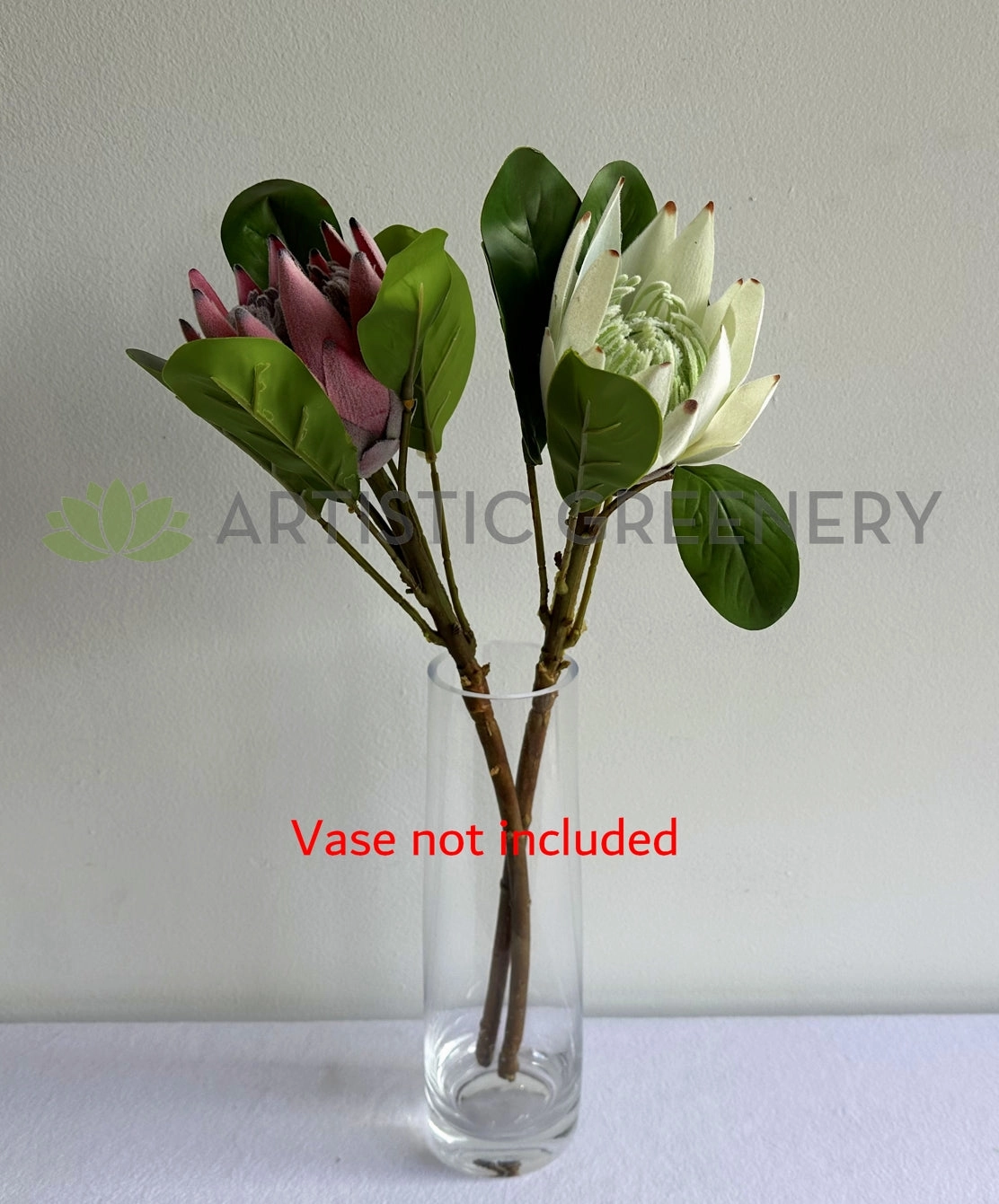 F0441 King Protea Single Stem 52cmcm Dusty Red / White