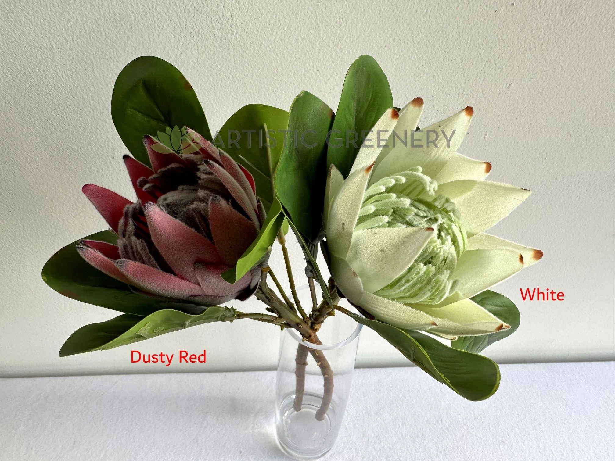F0441 King Protea Single Stem 52cmcm Dusty Red / White