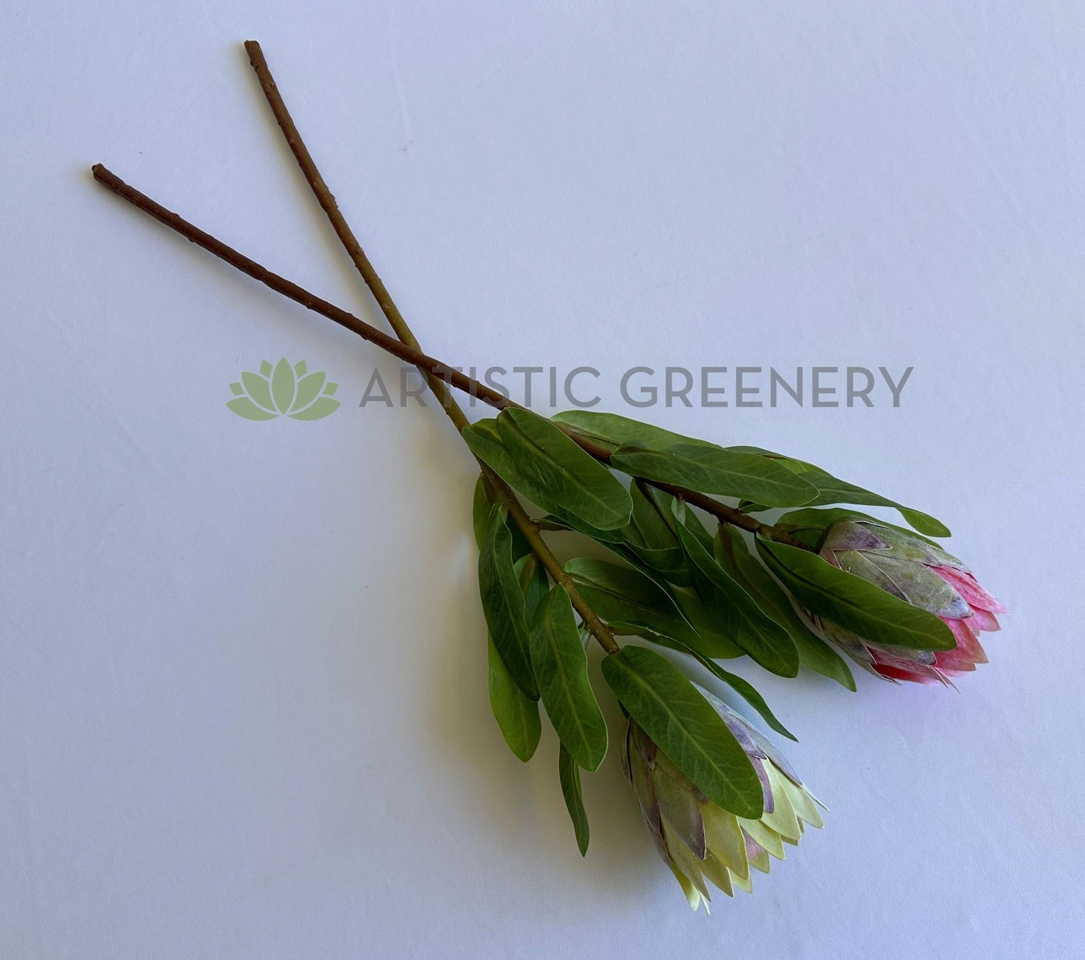 F0442 Small King Protea (Half Open) Single Stem 48cmcm Pink / Light Green