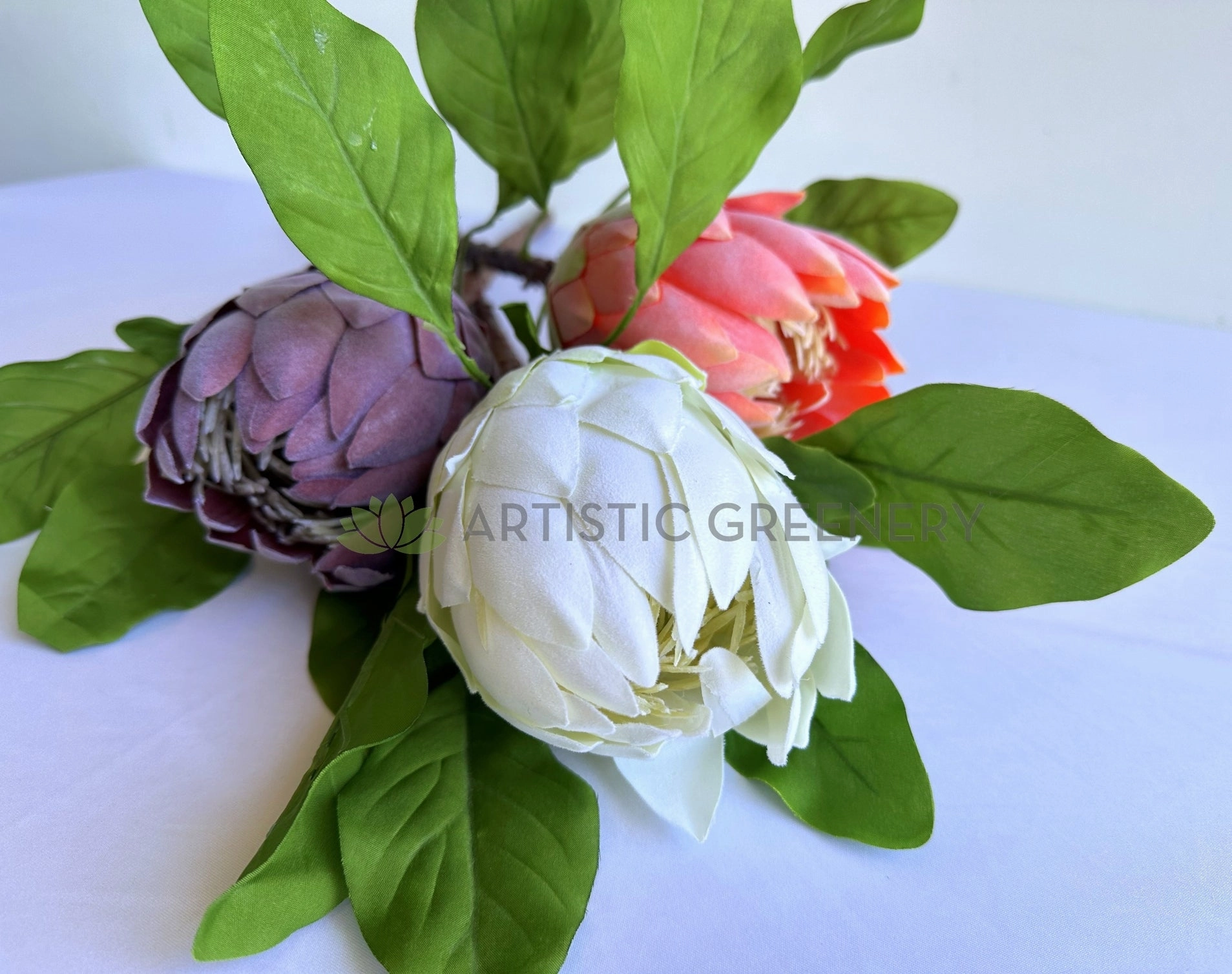 F0444 King Protea 65cm Red / White / Mauve