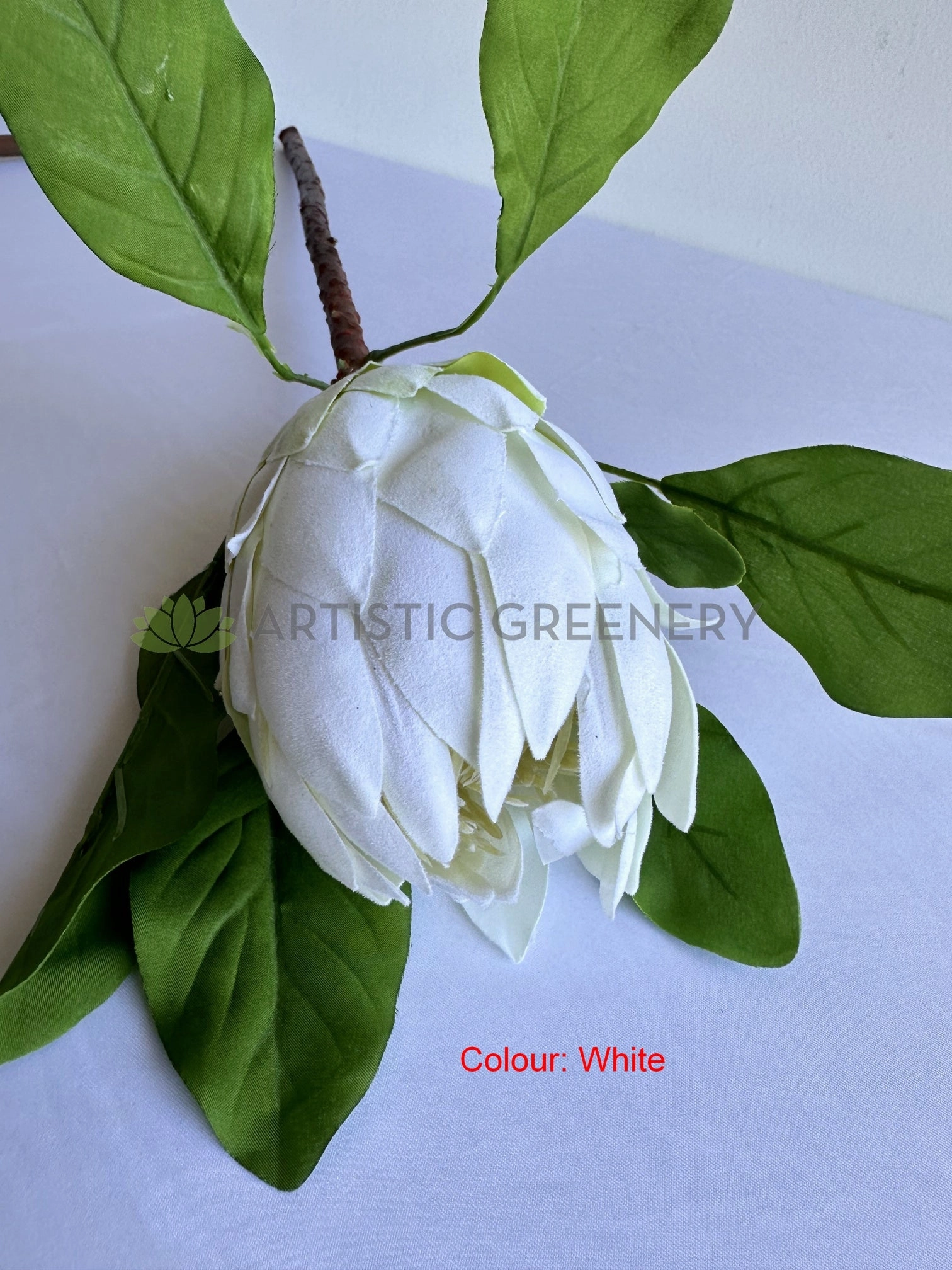 F0444 King Protea 65cm Red / White / Mauve