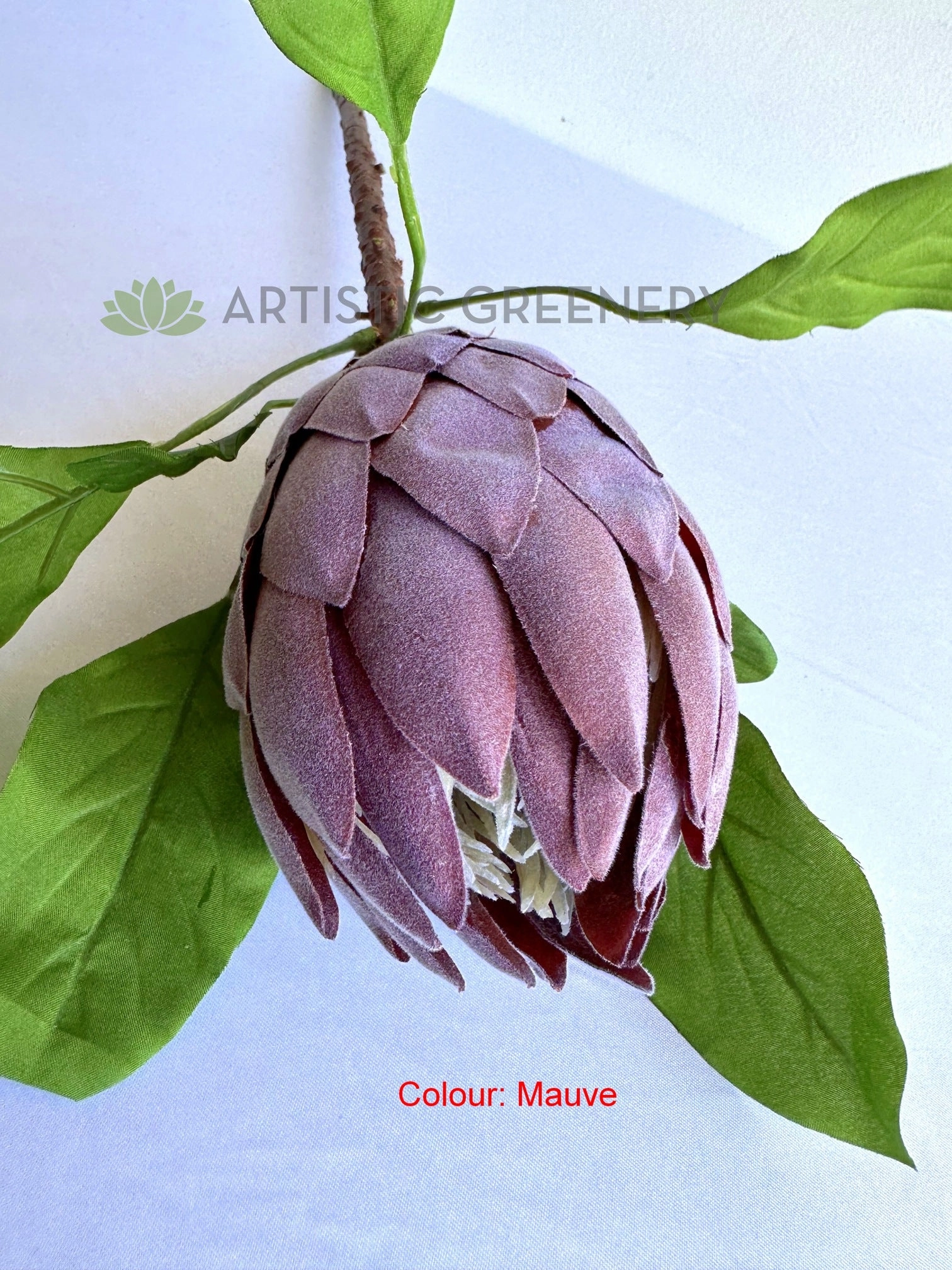 F0444 King Protea 65cm Red / White / Mauve