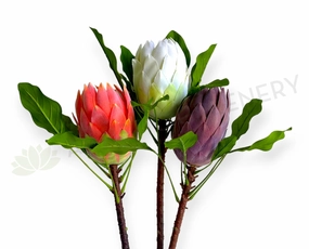 F0444 King Protea 65cm Red / White / Mauve outdoor greenery  