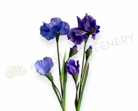F0445 Dutch Iris Stem 79cm Purple / Lilac outdoor greenery  