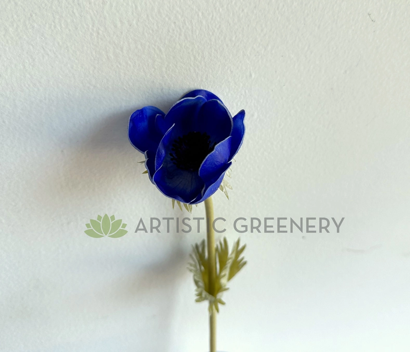 F0446 Anemone Single Stem 50cm Vibrant Blue