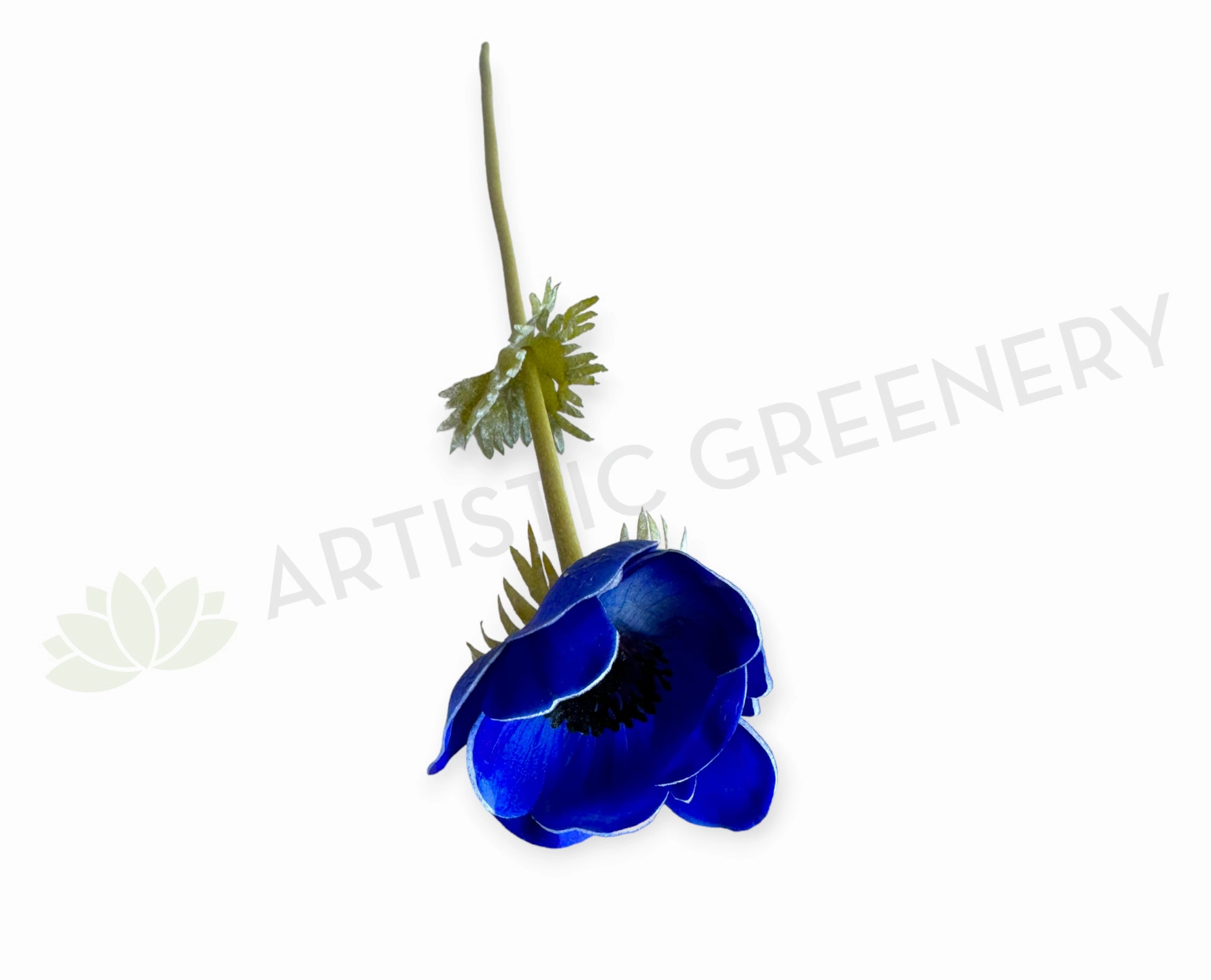 F0446 Anemone Single Stem 50cm Vibrant Blue outdoor greenery  