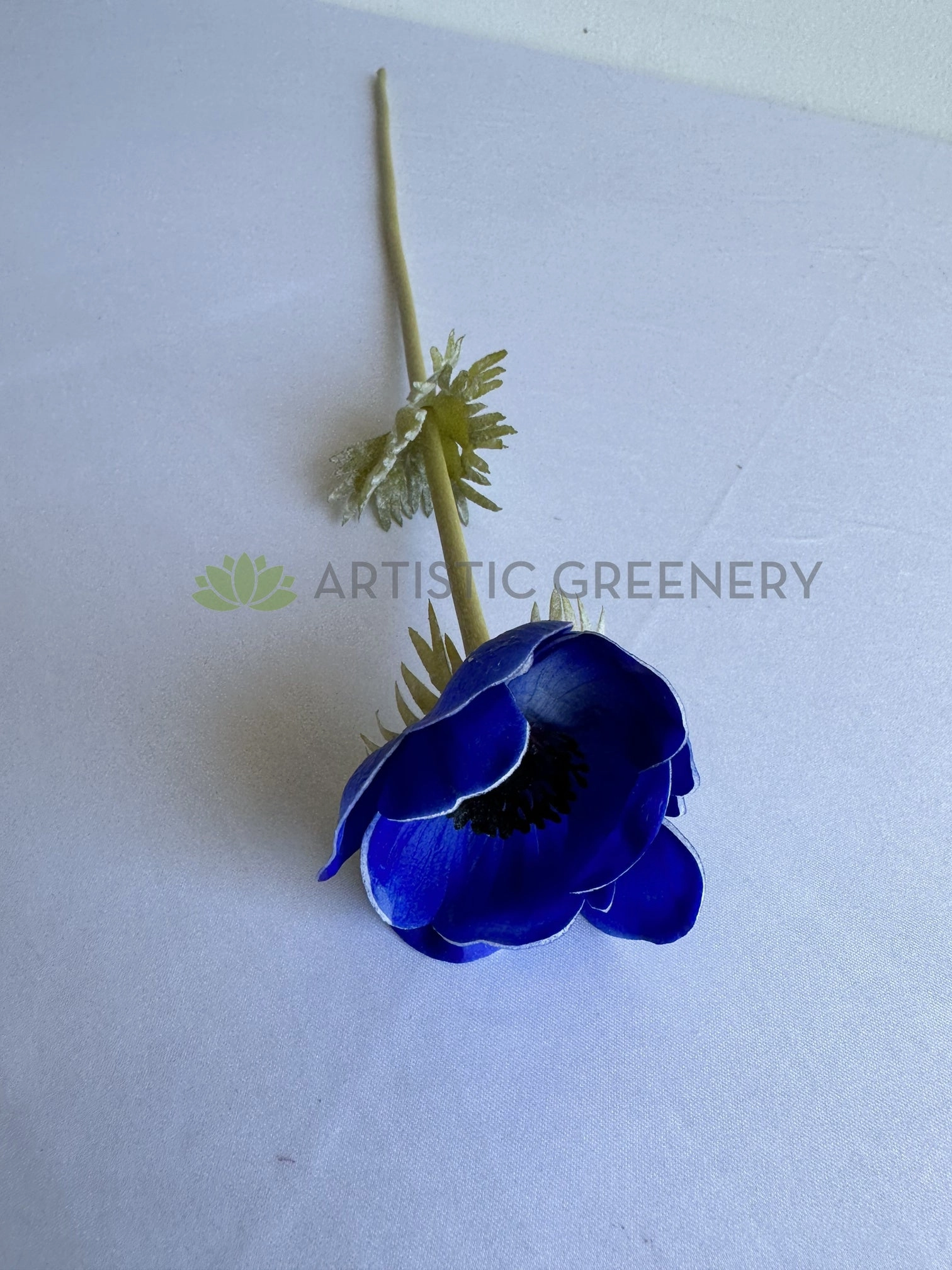 F0446 Anemone Single Stem 50cm Vibrant Blue