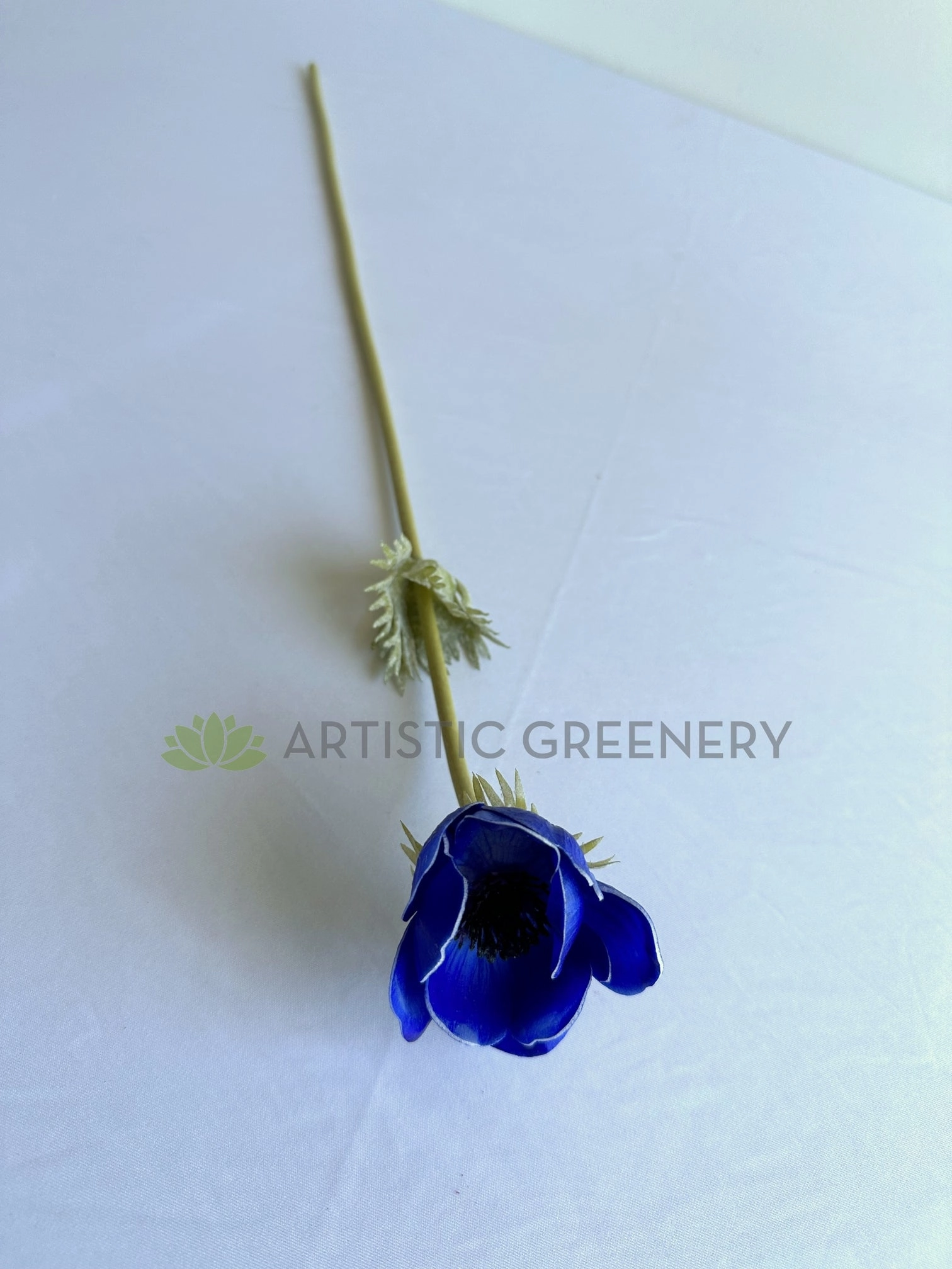 F0446 Anemone Single Stem 50cm Vibrant Blue