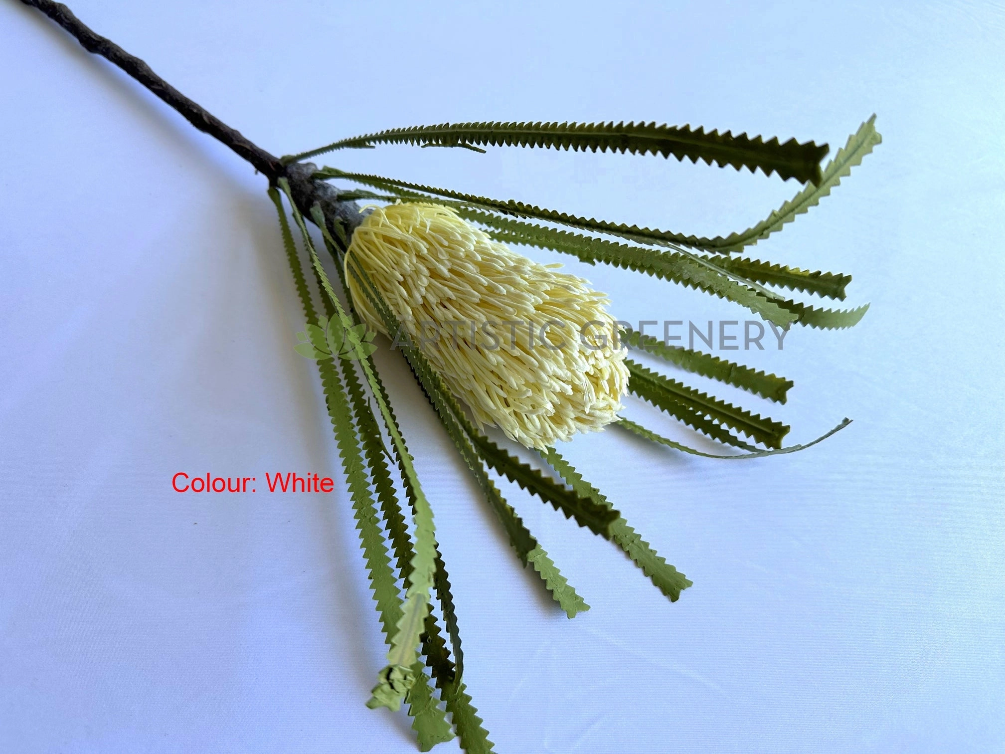F0449 Banksia Ashbyi Stem 65cm Red / White / Orange