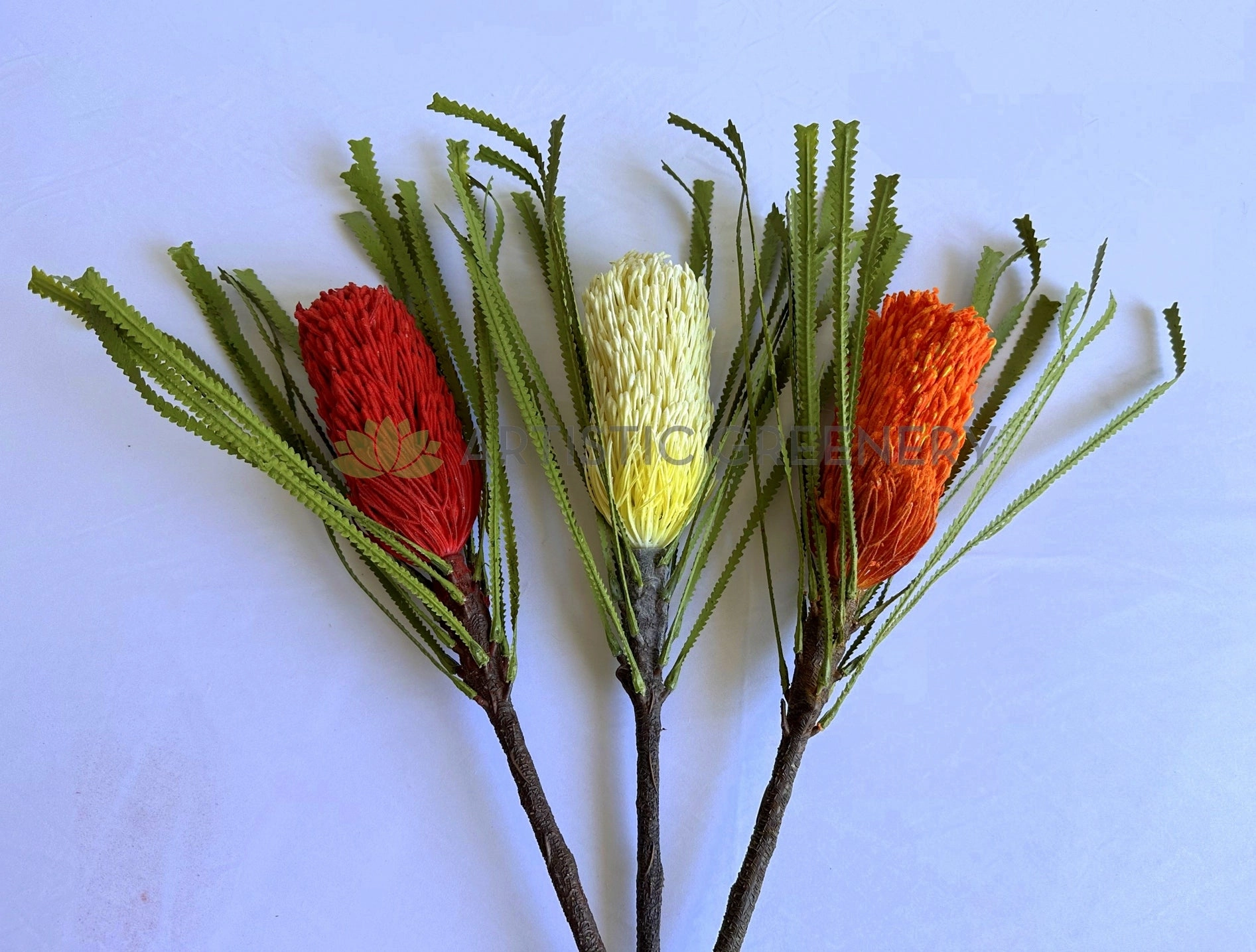 F0449 Banksia Ashbyi Stem 65cm Red / White / Orange