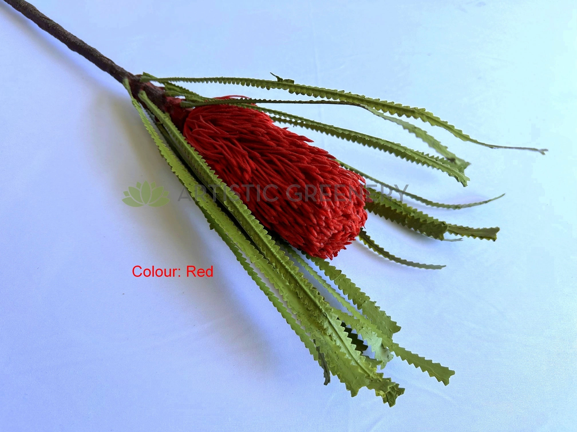 F0449 Banksia Ashbyi Stem 65cm Red / White / Orange