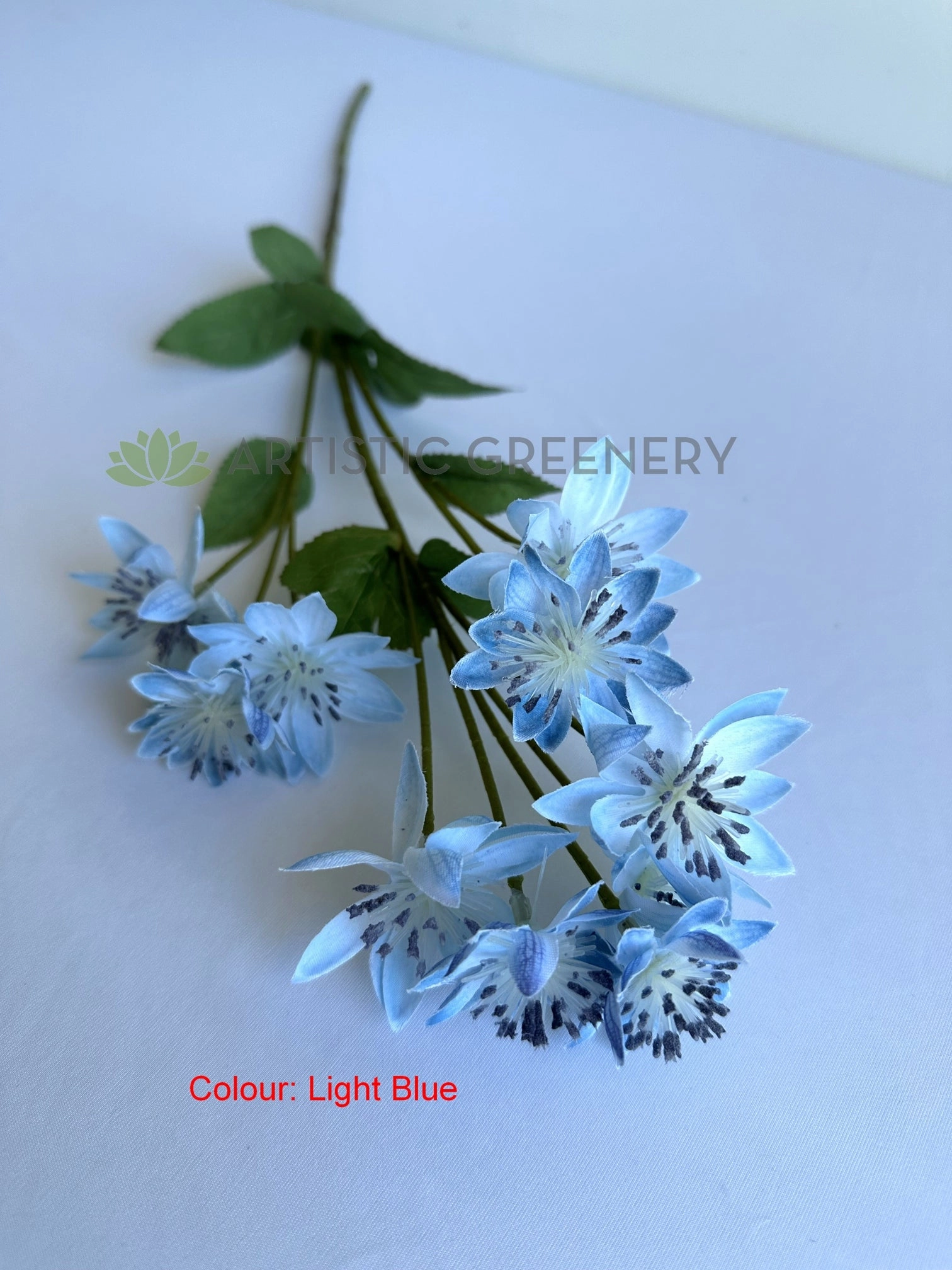 F0456 Astrantia / Blushing Bride Spray 61cm Light Blue / Light Green
