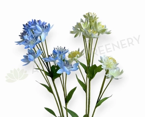 F0456 Astrantia / Blushing Bride Spray 61cm Light Blue / Light Green outdoor greenery  