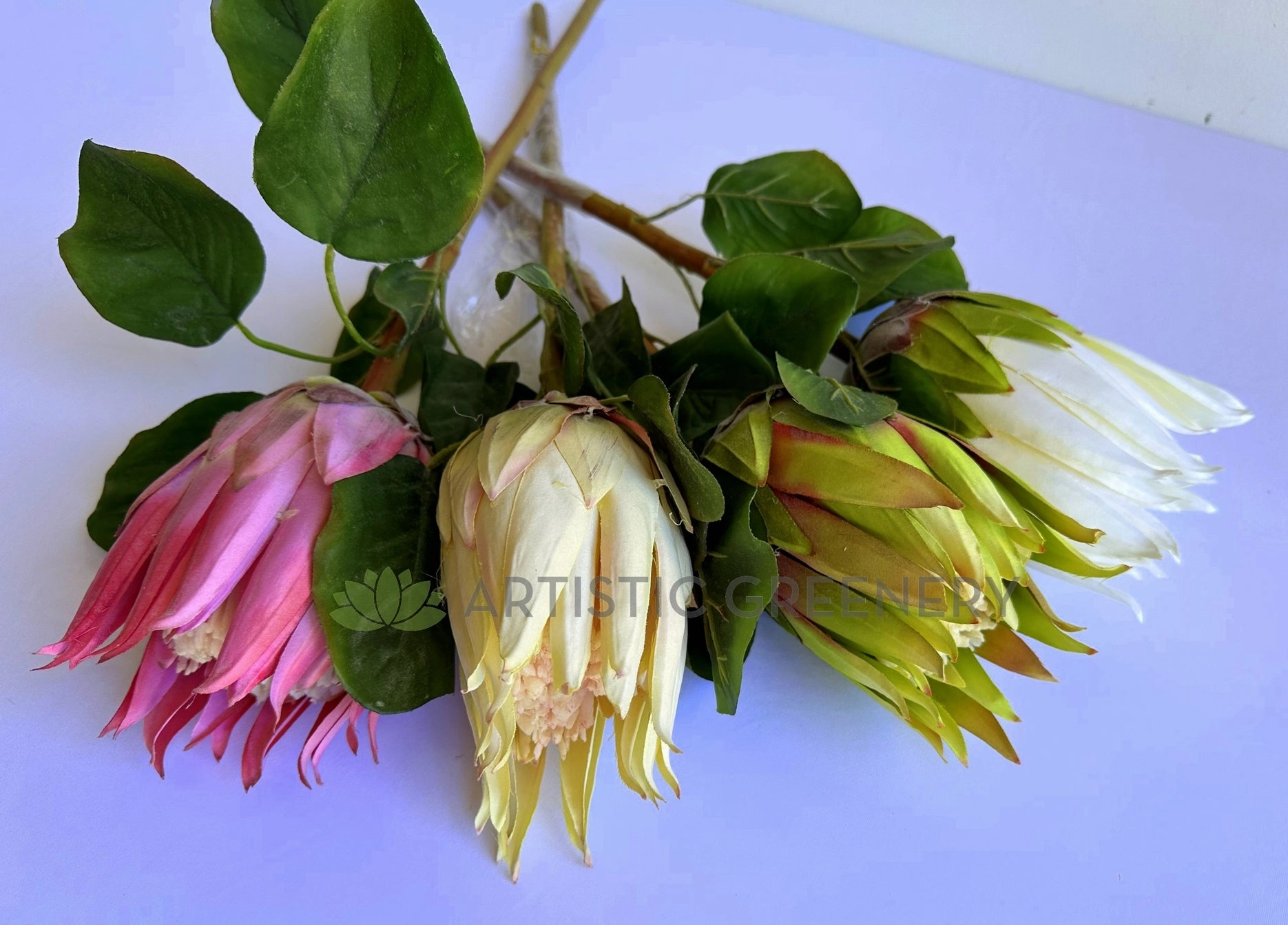 F0457 Queen Protea Stem 67cm 4 colours