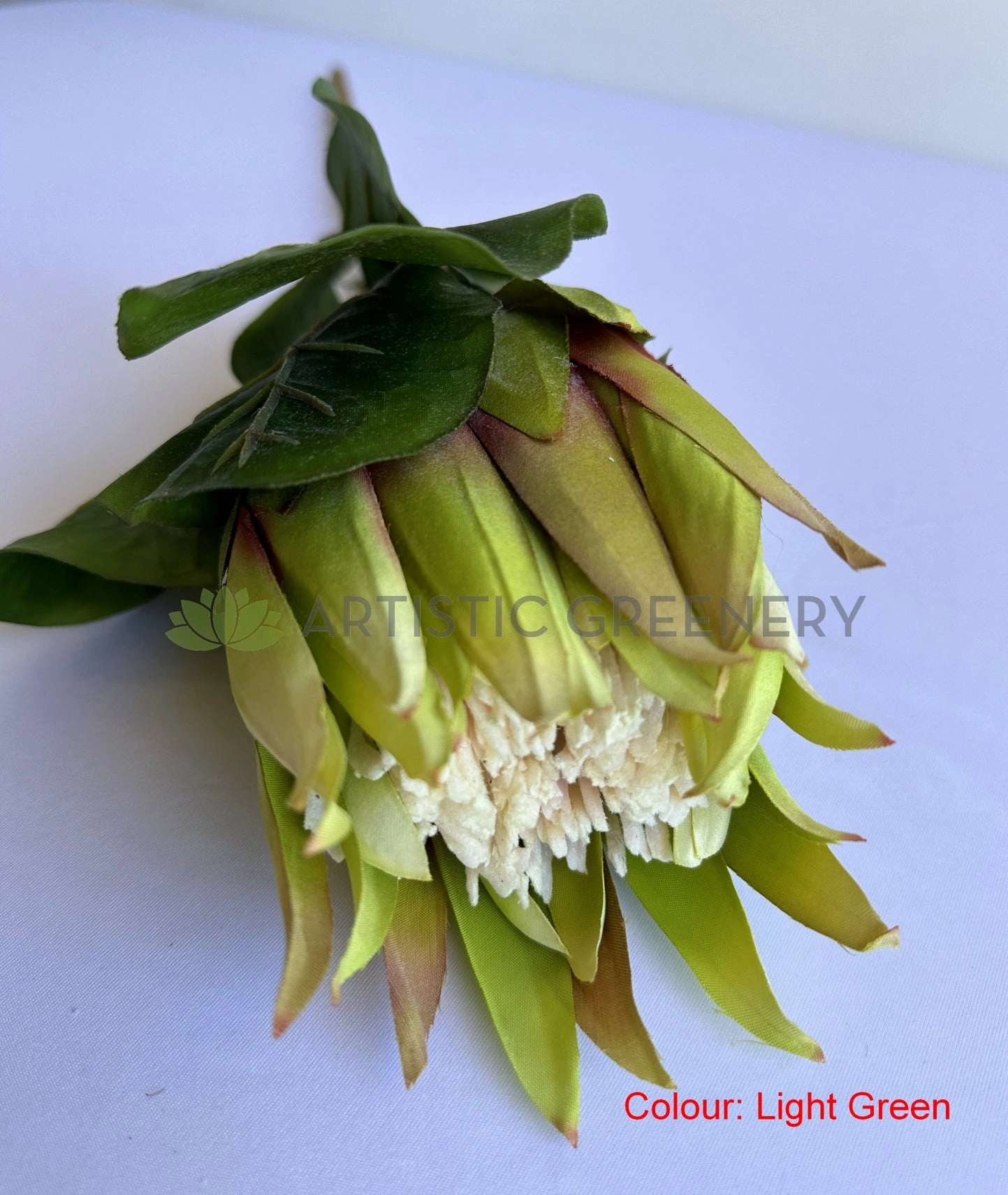F0457 Queen Protea Stem 67cm 4 colours