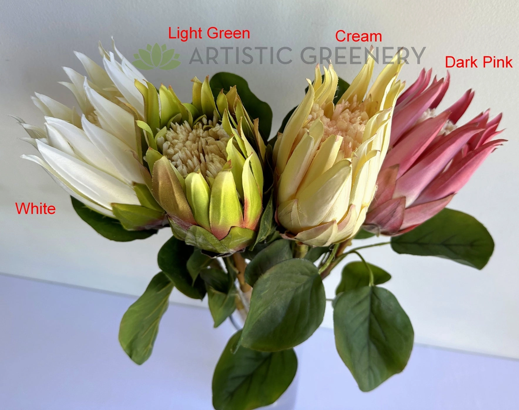 F0457 Queen Protea Stem 67cm 4 colours