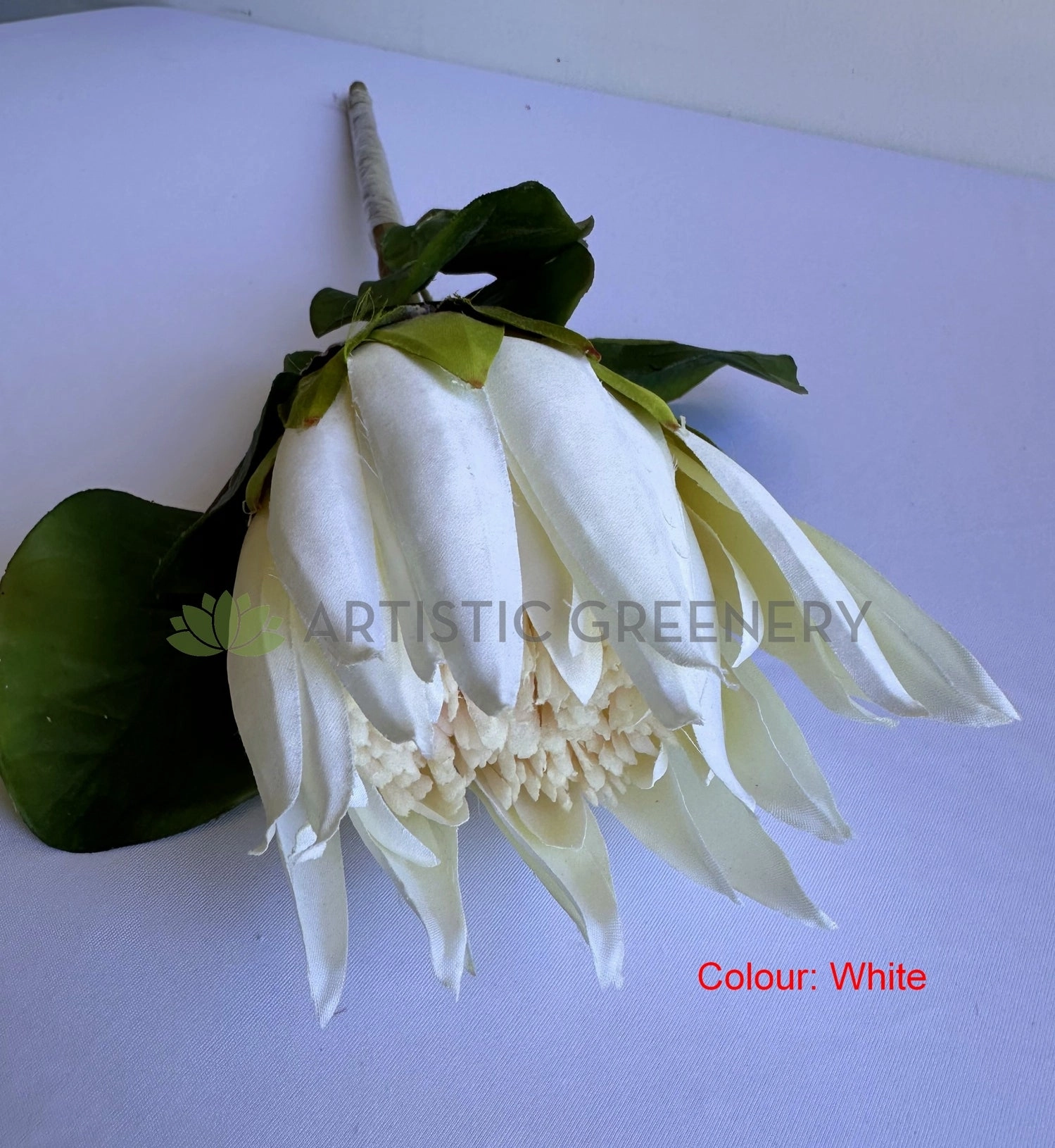 F0457 Queen Protea Stem 67cm 4 colours