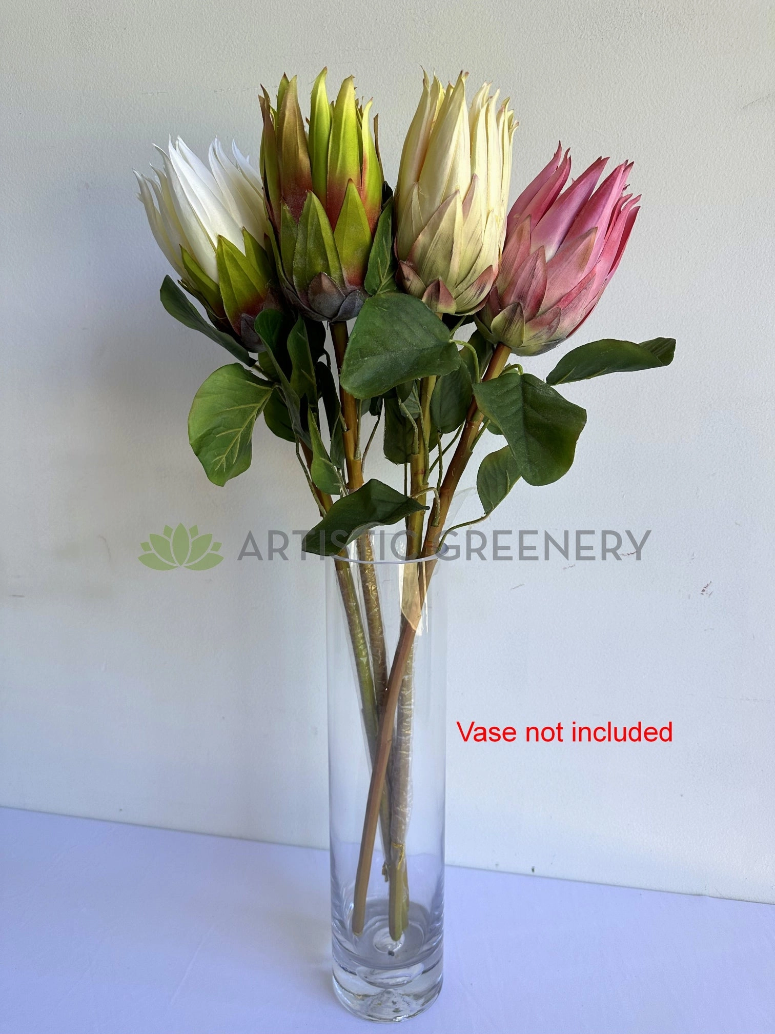 F0457 Queen Protea Stem 67cm 4 colours