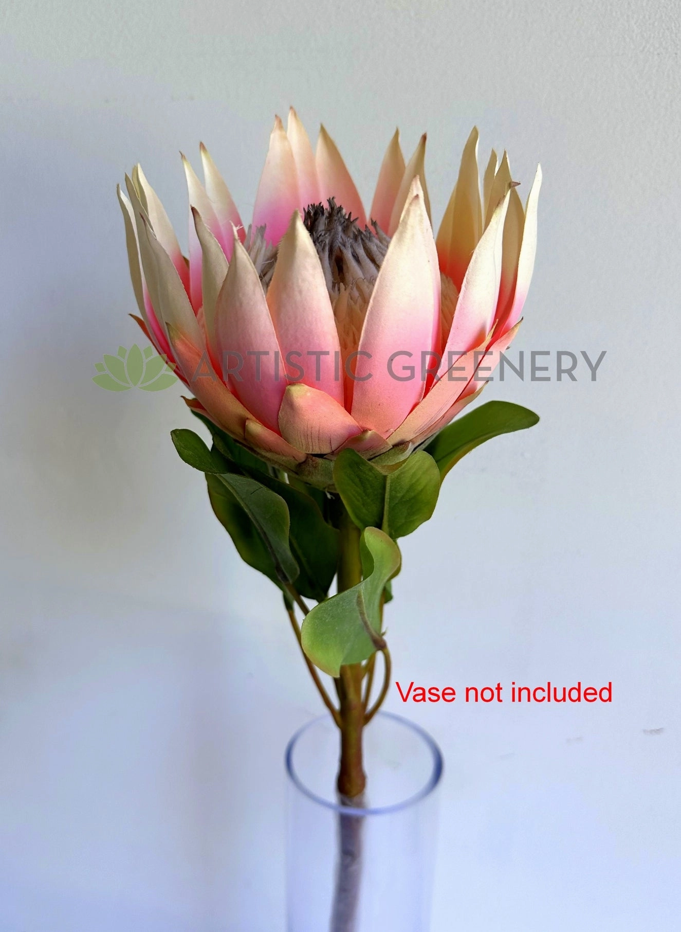 F0458 King Protea Stem 72cm Pink