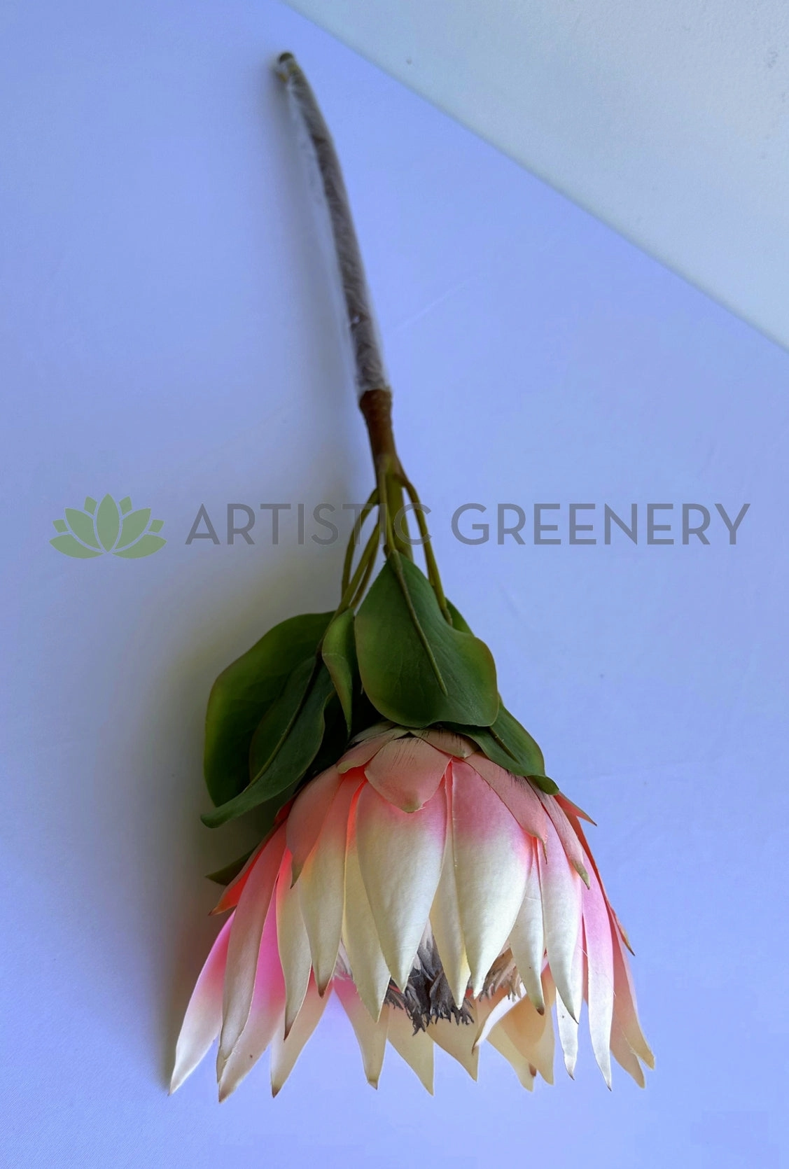 F0458 King Protea Stem 72cm Pink