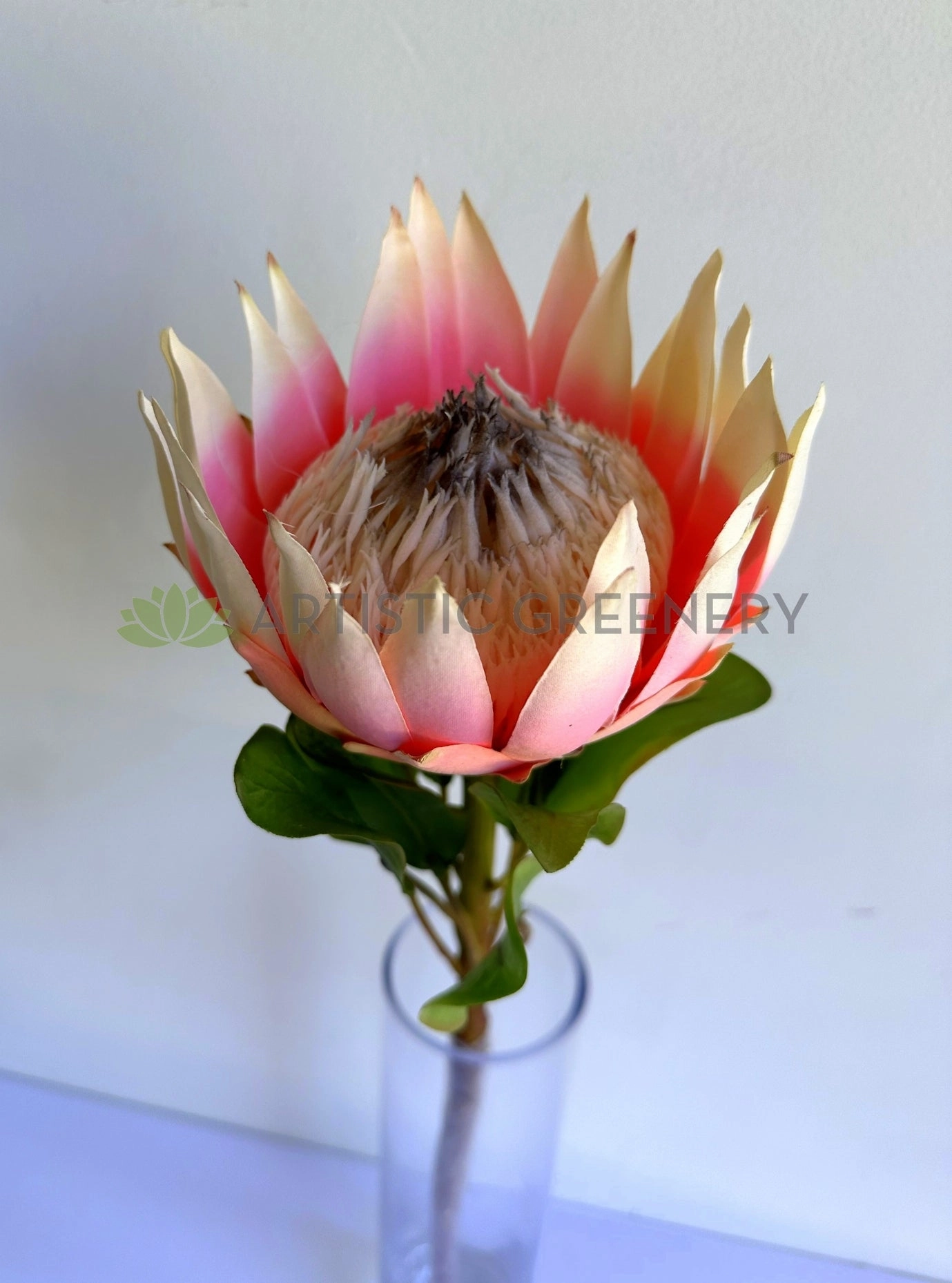 F0458 King Protea Stem 72cm Pink
