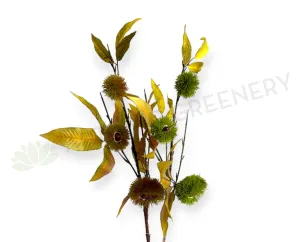 F0461 Chestnut Branch 85cm 2 Styles dried green plant  