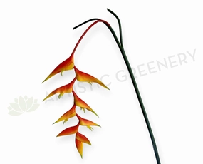 F0464 Hanging Heliconia 140cm (Tropical Flower) outdoor greenery  