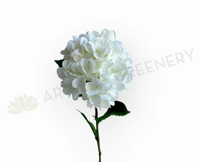 F0472 Hydrangea Single Stem 67cm (17cm Dia) White outdoor greenery  