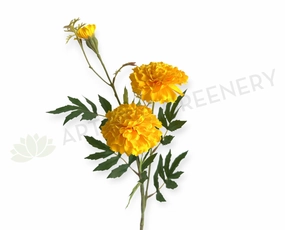 F0473 Marigold Spray 73cm Yellow outdoor greenery  