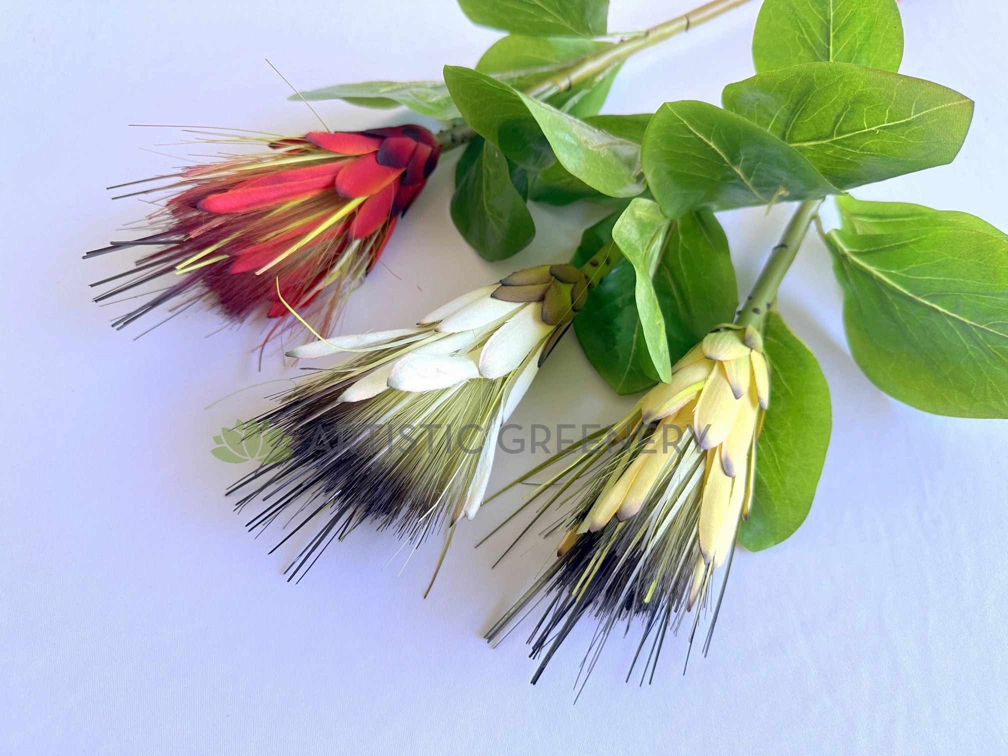F0474 Repens Protea / Star Protea 77cm Yellow / White / Red