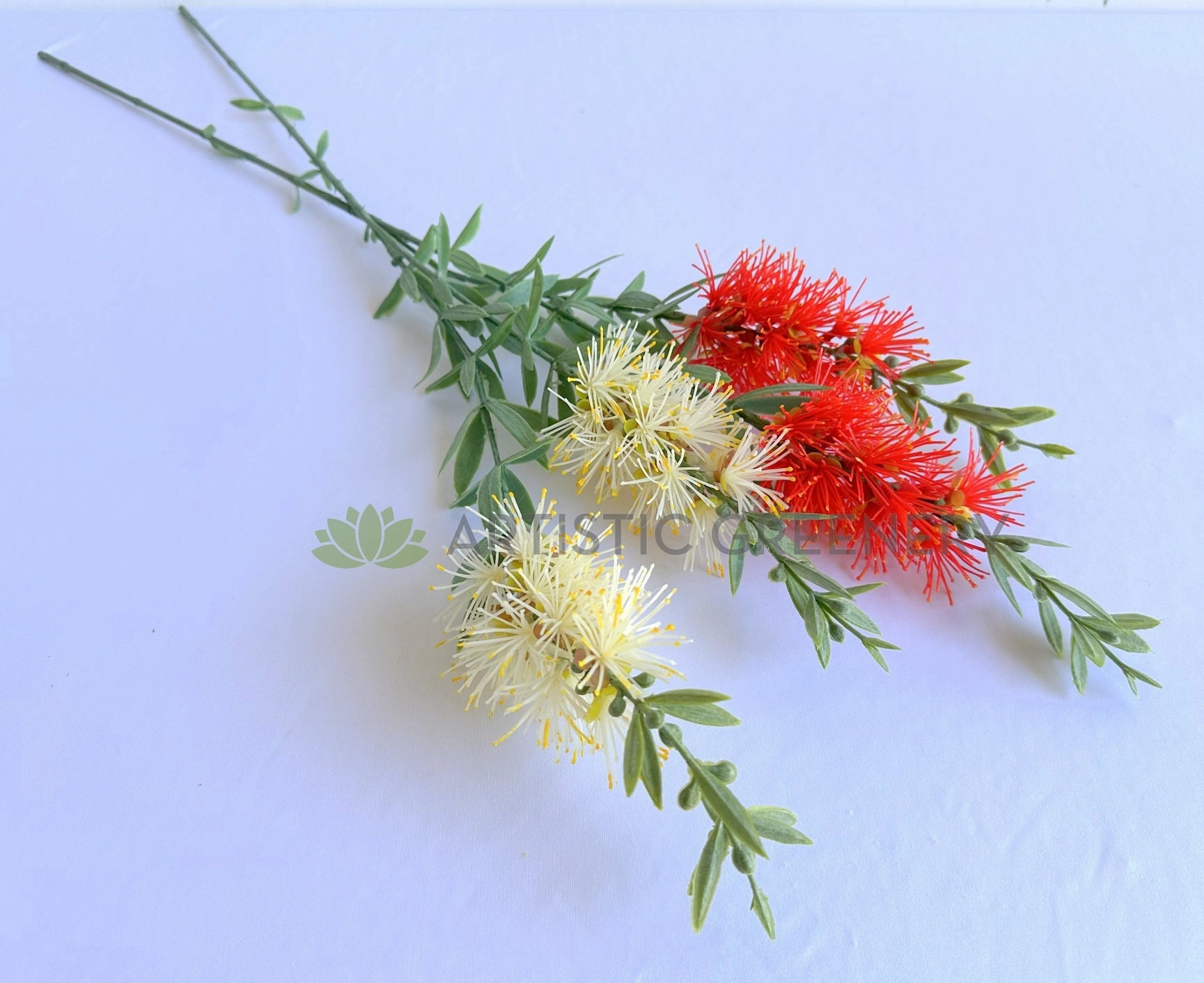 F0475 Bottlebrush / Callistemon Spray 67cm Red / Cream