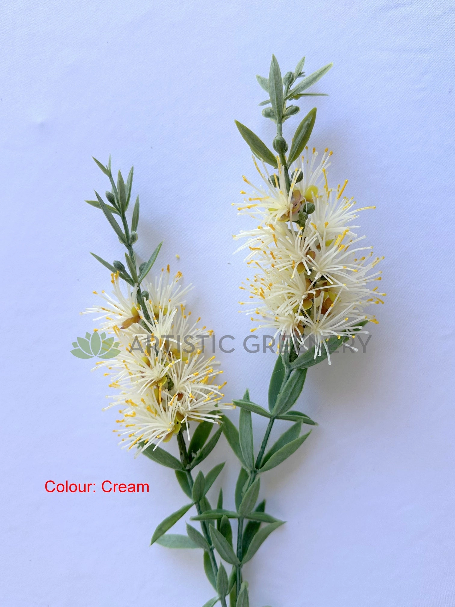 F0475 Bottlebrush / Callistemon Spray 67cm Red / Cream