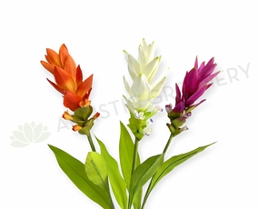 F0477 Bromeliad / Ginger Flower 73cm Orange / White / Purple outdoor greenery  