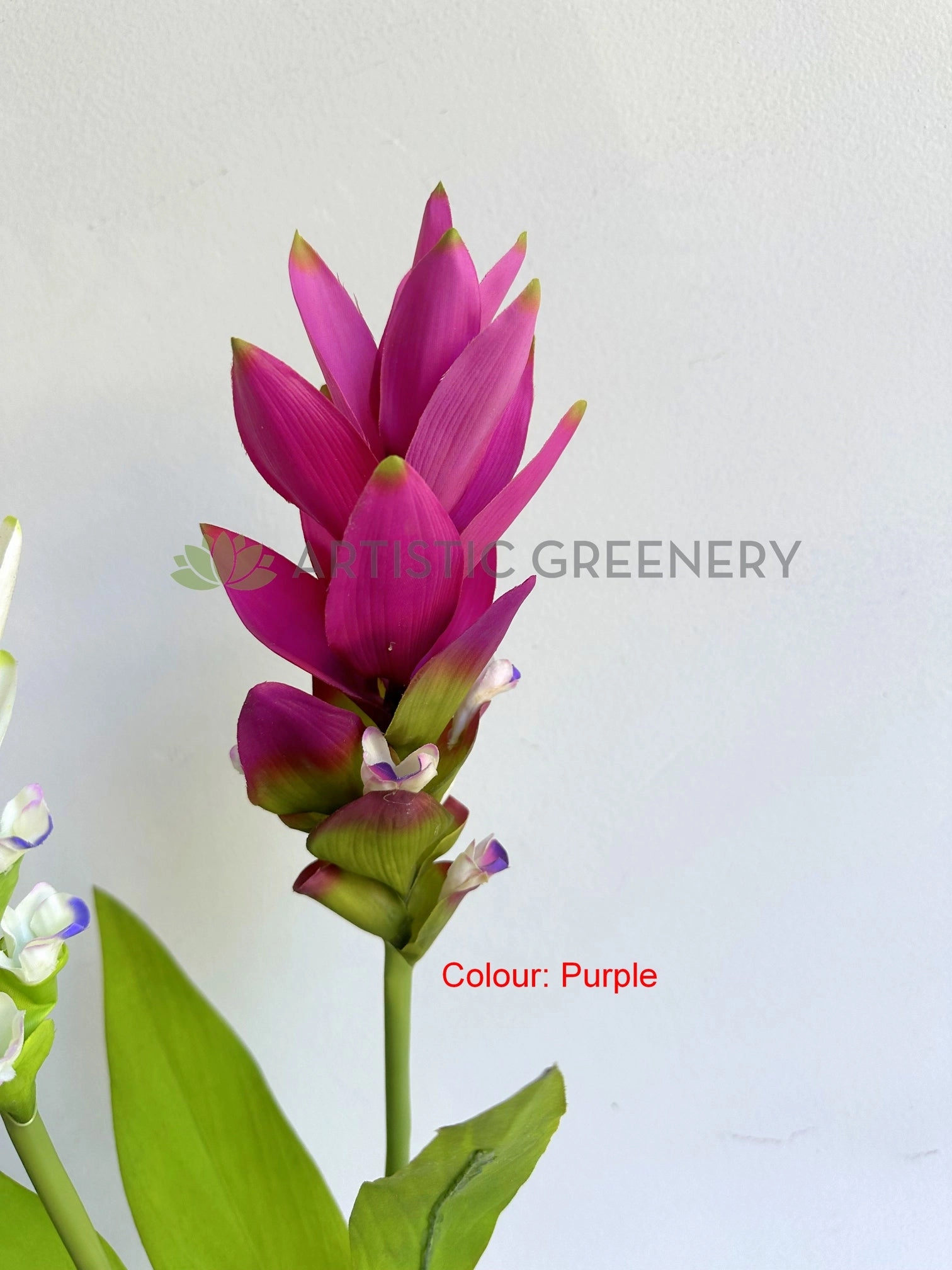 F0477 Bromeliad / Ginger Flower 73cm Orange / White / Purple