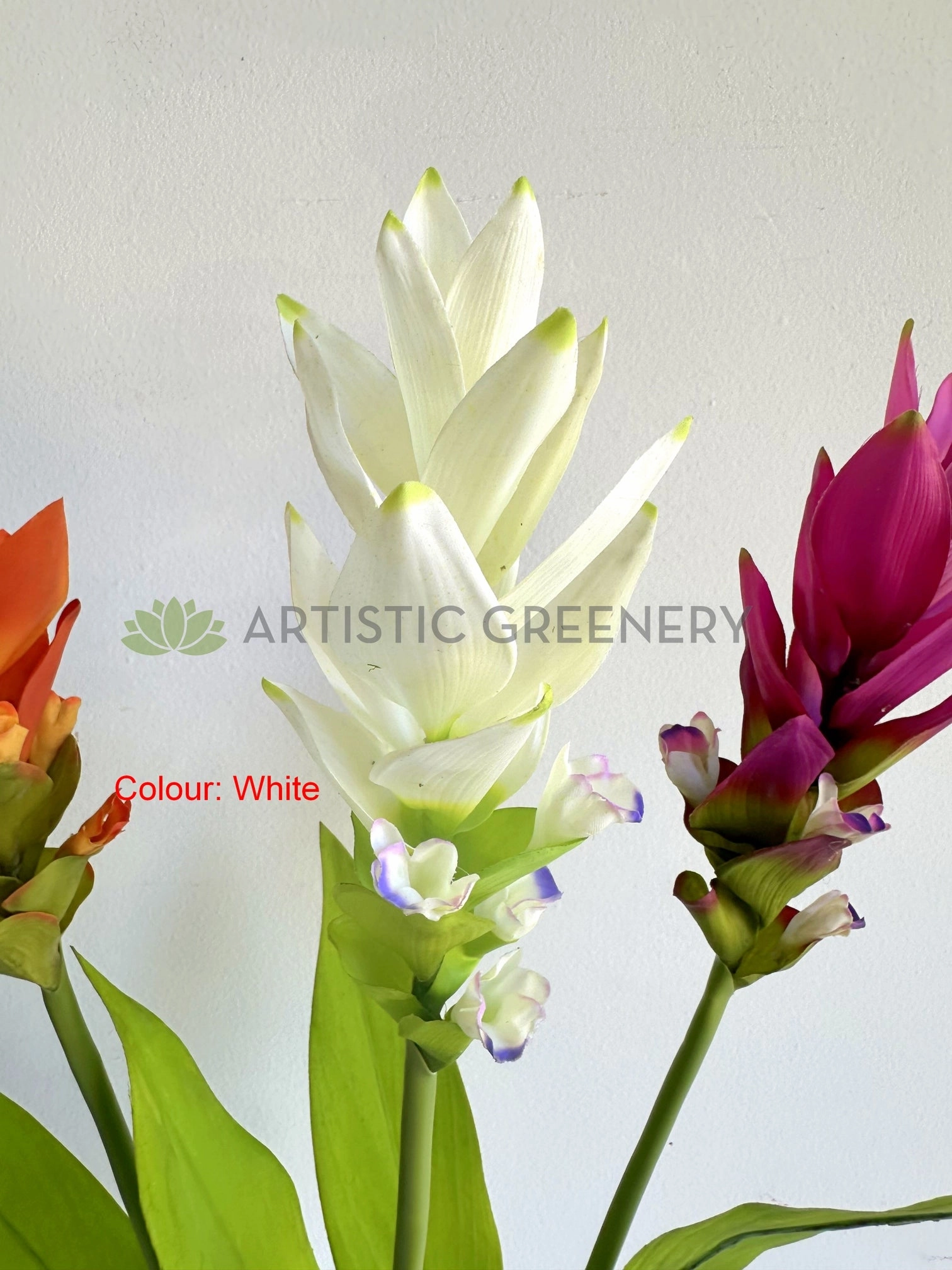 F0477 Bromeliad / Ginger Flower 73cm Orange / White / Purple