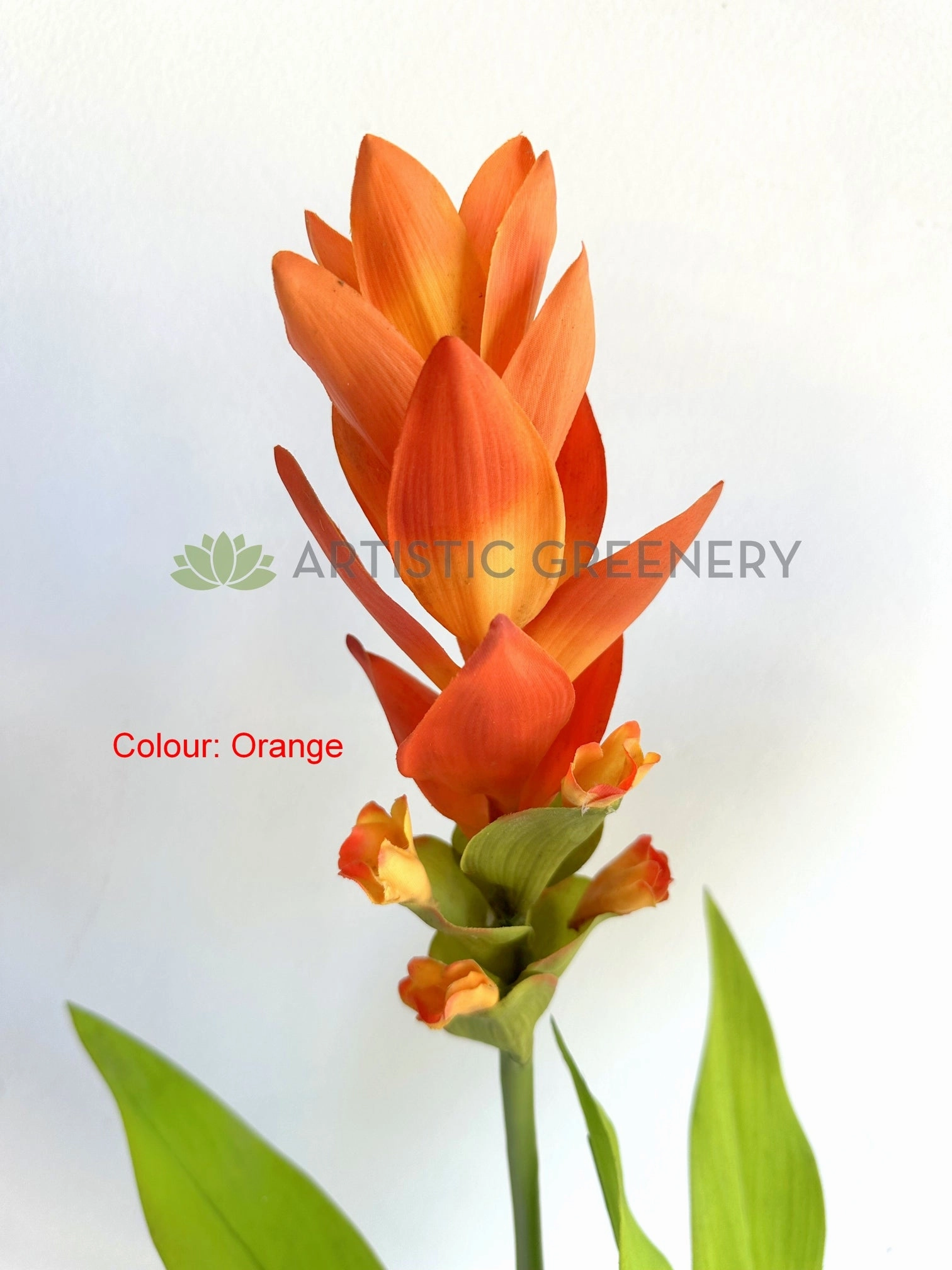 F0477 Bromeliad / Ginger Flower 73cm Orange / White / Purple
