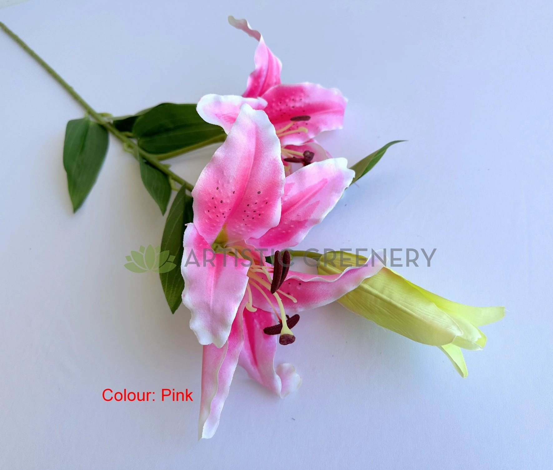 F0478 Casa Blanca Lily 99cm Yellow / White / Pink (SPECIAL)