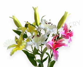 F0478 Casa Blanca Lily 99cm Yellow / White / Pink (SPECIAL) outdoor greenery  