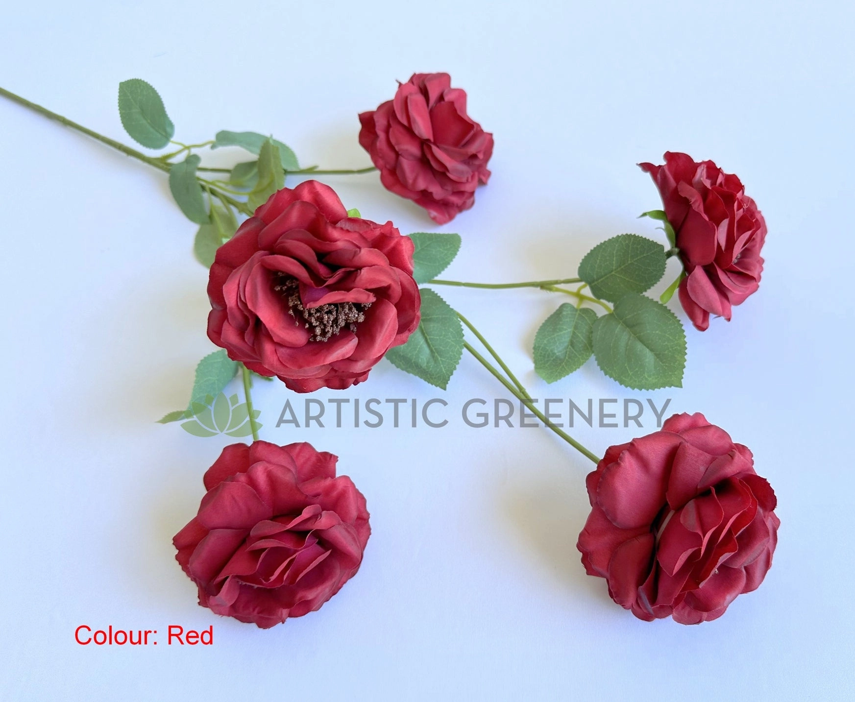F0480 Camellia / Garden Rose Spray 81cm 5 Colour (SPECIAL)