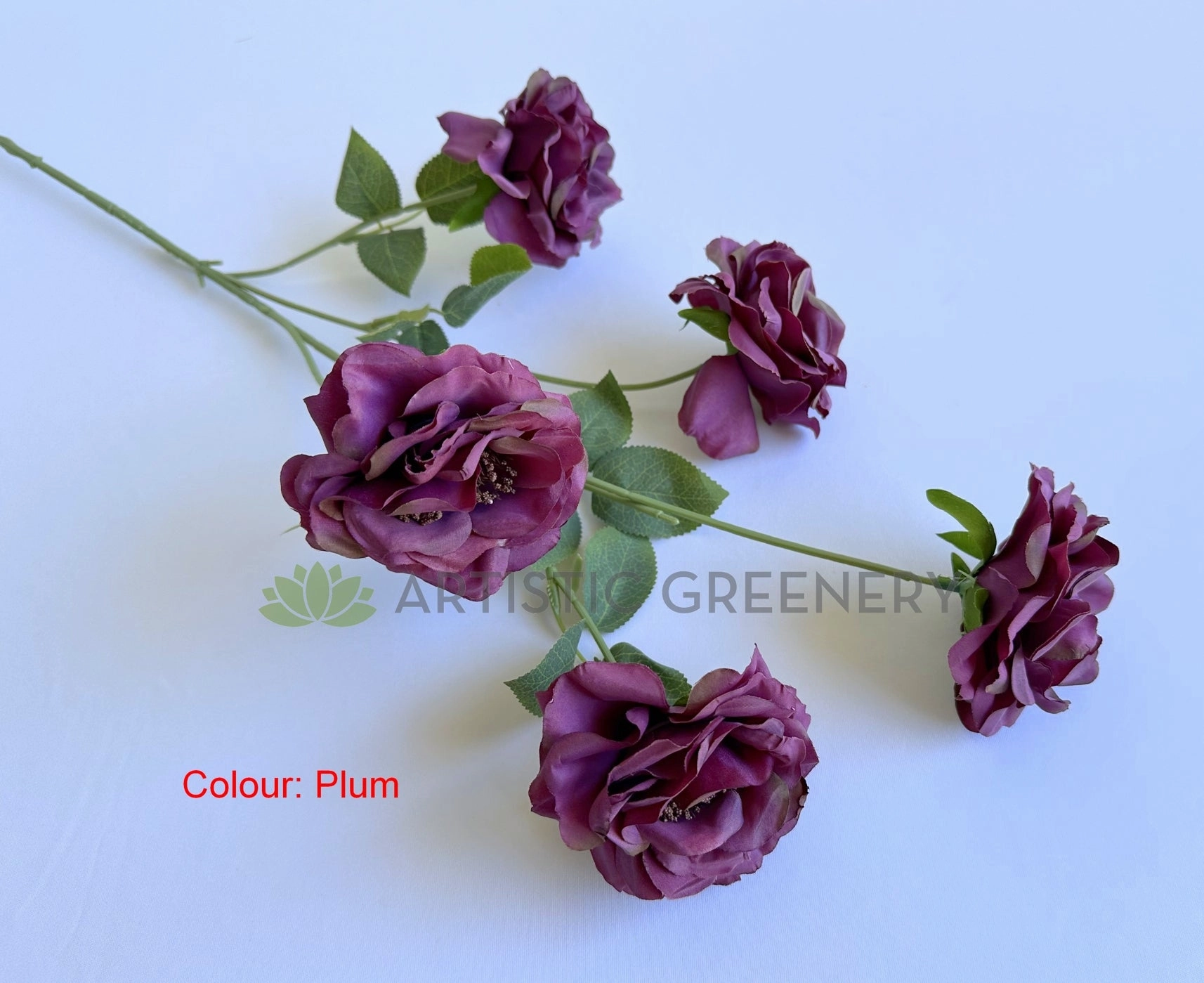 F0480 Camellia / Garden Rose Spray 81cm 5 Colour (SPECIAL)