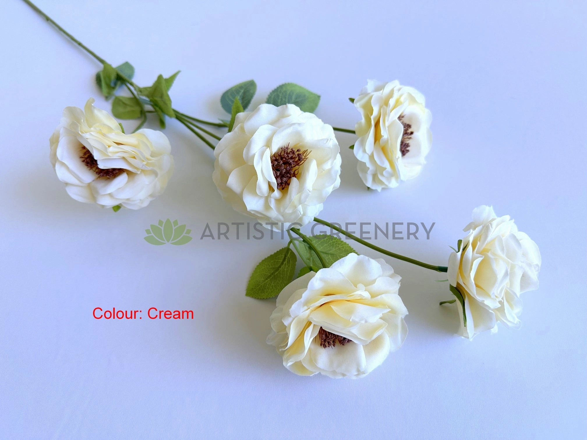 F0480 Camellia / Garden Rose Spray 81cm 5 Colour (SPECIAL)